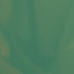 Satellite imagery of Okiato Point, NZ