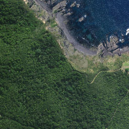 Satellite imagery of Terakihi Point, NZ