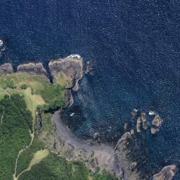 Satellite imagery of Terakihi Point, NZ