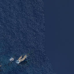 Satellite imagery of Terakihi Point, NZ