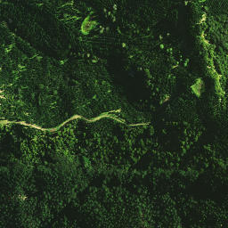 Satellite imagery of E NO 2, NZ