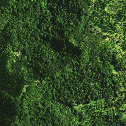Satellite imagery of E NO 2, NZ