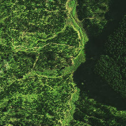 Satellite imagery of E NO 2, NZ