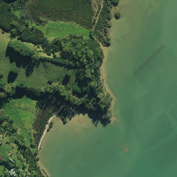 Satellite imagery of 1611, NZ