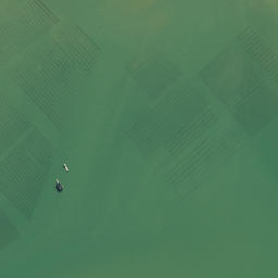 Satellite imagery of 1611, NZ