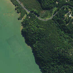 Satellite imagery of 1611, NZ