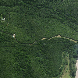 Satellite imagery of Terakihi Point, NZ