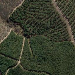 Satellite imagery of Mount Reedy, AU