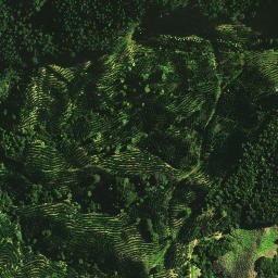 Satellite imagery of E NO 2, NZ