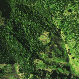 Satellite imagery of E NO 2, NZ