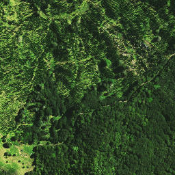 Satellite imagery of E NO 2, NZ