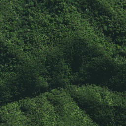 Satellite imagery of X NO 2, NZ