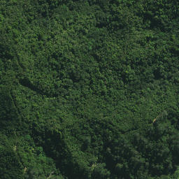 Satellite imagery of X NO 2, NZ