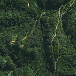 Satellite imagery of X NO 2, NZ