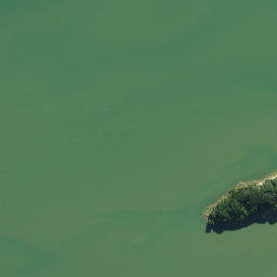 Satellite imagery of 1611, NZ