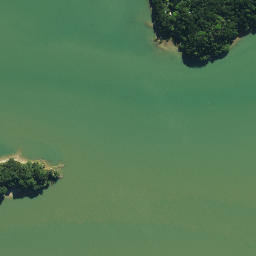 Satellite imagery of 1611, NZ