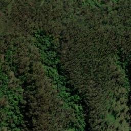 Satellite imagery of Wog Wog Mountain, AU