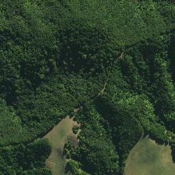 Satellite imagery of X NO 2, NZ