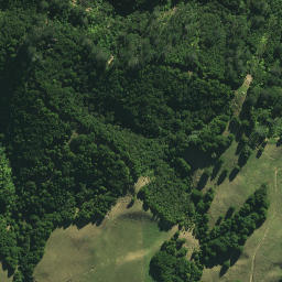 Satellite imagery of X NO 2, NZ