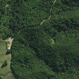 Satellite imagery of X NO 2, NZ