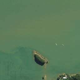 Satellite imagery of 1611, NZ