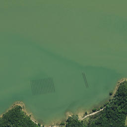 Satellite imagery of 1611, NZ