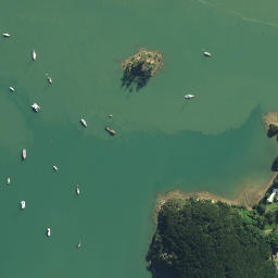 Satellite imagery of AO NO 2, NZ