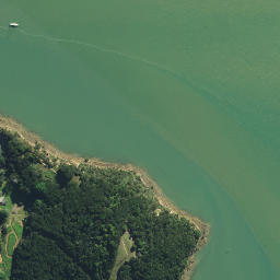 Satellite imagery of AO NO 2, NZ