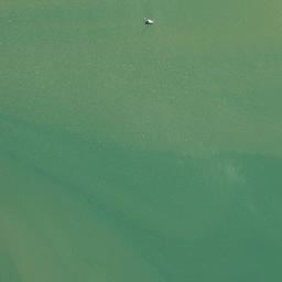 Satellite imagery of AO NO 2, NZ