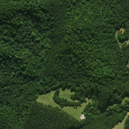 Satellite imagery of Te Rangaita Pa, NZ