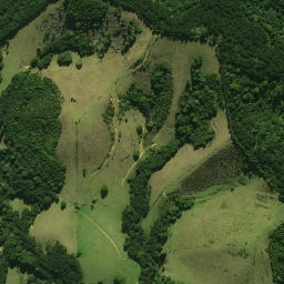 Satellite imagery of Te Rangaita Pa, NZ