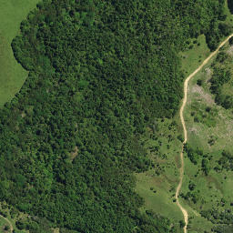 Satellite imagery of 100, NZ