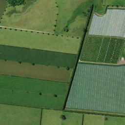 Satellite imagery of Ngaungau Pa, NZ