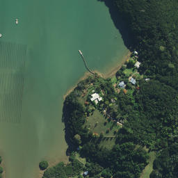 Satellite imagery of AO NO 2, NZ