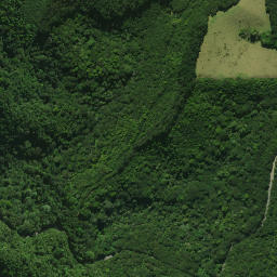 Satellite imagery of Te Rangaita Pa, NZ