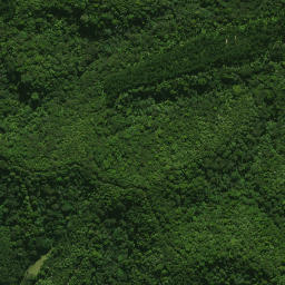 Satellite imagery of Hauwhenua Pa, NZ