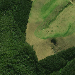 Satellite imagery of Hauwhenua Pa, NZ