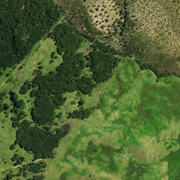 Satellite imagery of Poutawhera Pa, NZ