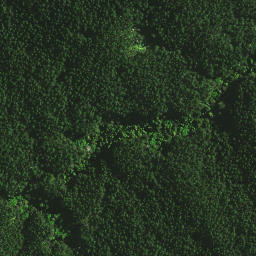 Satellite imagery of 105 RAKAUTAPU, NZ