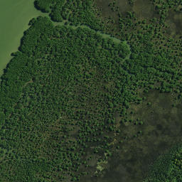 Satellite imagery of Paremata or Nene's Pa, NZ