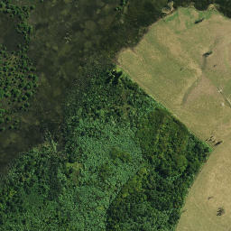 Satellite imagery of Paremata or Nene's Pa, NZ