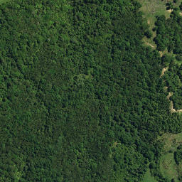 Satellite imagery of 100, NZ