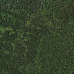 Satellite imagery of Okuratope Pa, NZ