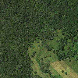 Satellite imagery of Okuratope Pa, NZ