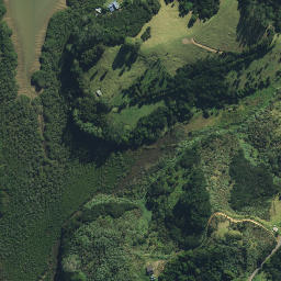 Satellite imagery of AO NO 2, NZ