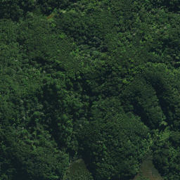 Satellite imagery of RCM V SO 50173, NZ