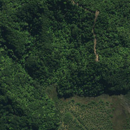 Satellite imagery of RCM V SO 50173, NZ