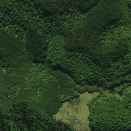Satellite imagery of Te Rangaita Pa, NZ