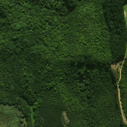 Satellite imagery of Hauwhenua Pa, NZ