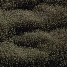 Satellite imagery of Webbs Ridge, AU